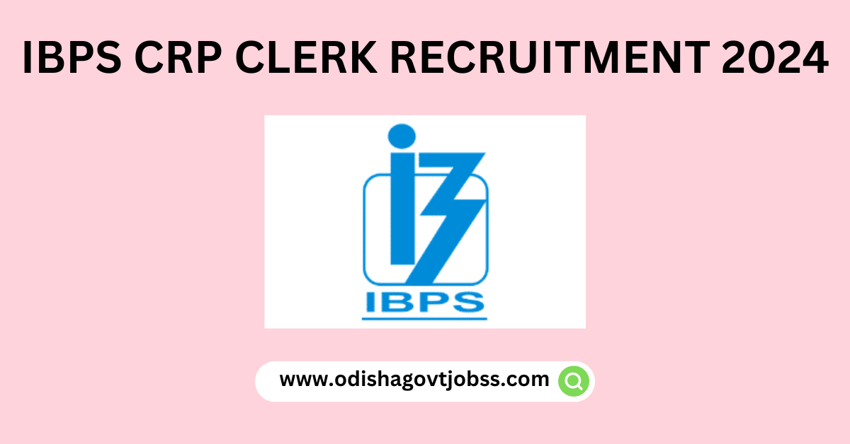 IBPS CRP Clerk Recruitment 2024